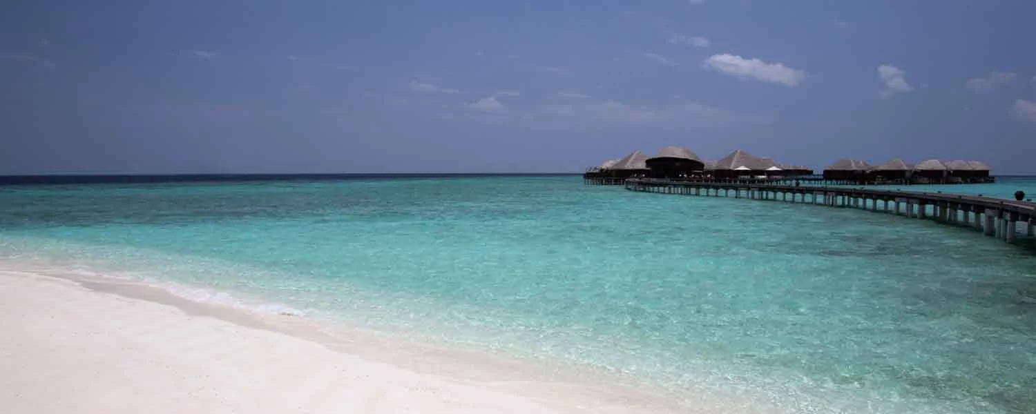 Coco Bodu Hithi-1